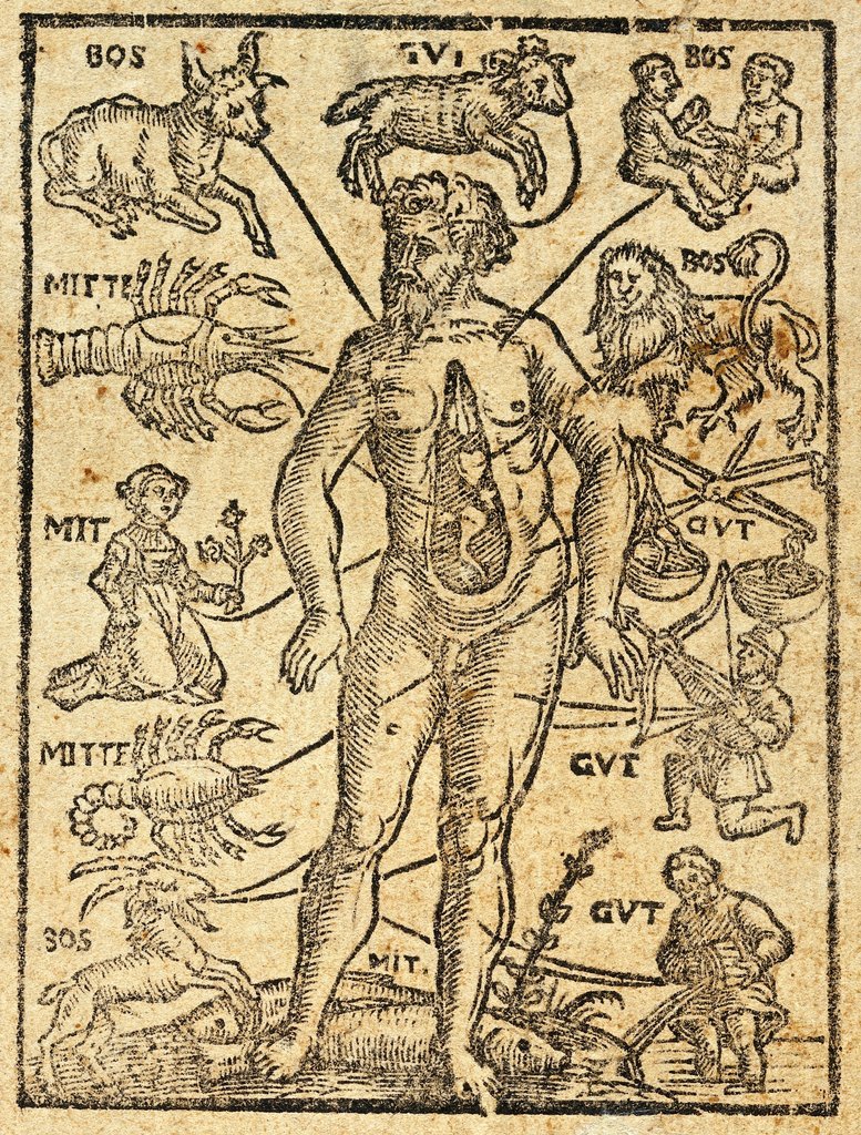 Zodiac man (l'uomo zodiacale) di Petrus Slovacius (1581). Secondo la melotesia zodiacale, ogni parte del corpo è associata a un segno astrologico o a un pianeta specifico..