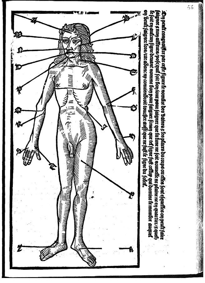 Tavola anatomica nel kalendrier del 1508